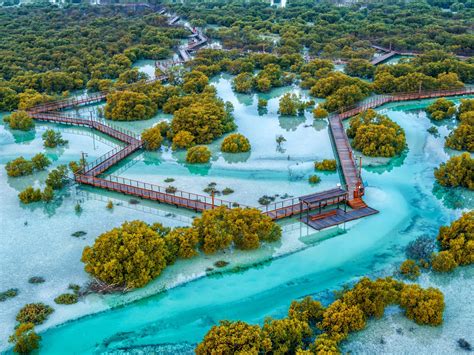 Jubail Mangrove Park .